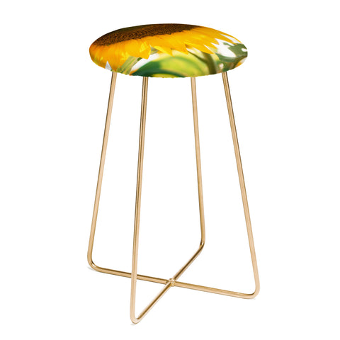 Chelsea Victoria Good Day Sunshine Counter Stool