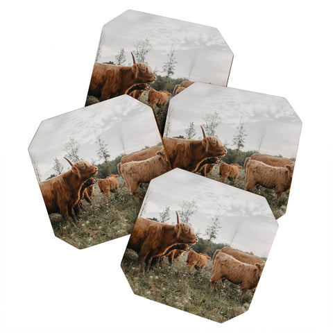 Chelsea Victoria Highland Cows In The Meadow Coaster Set