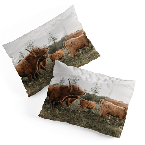 Chelsea Victoria Highland Cows In The Meadow Pillow Shams