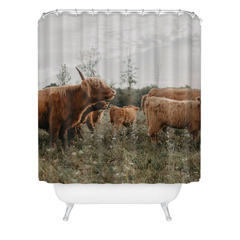Chelsea Victoria Highland Cows In The Meadow Shower Curtain