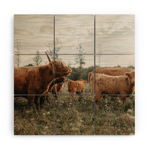 Chelsea Victoria Highland Cows In The Meadow Wood Wall Mural