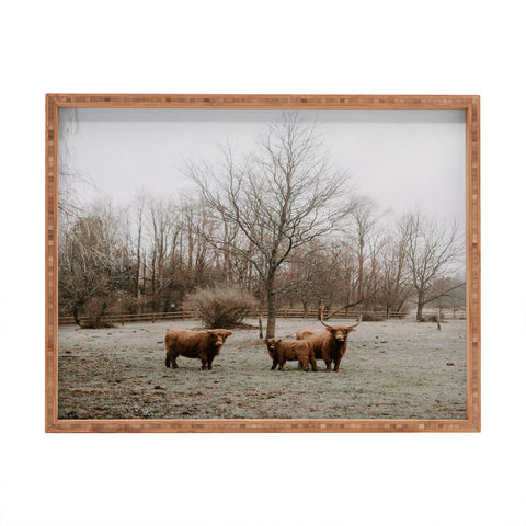 Chelsea Victoria Highland Cows Rectangular Tray