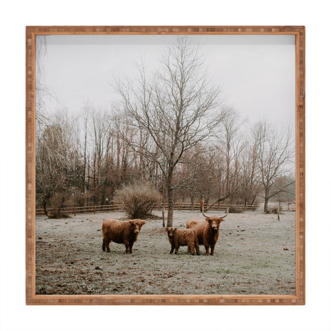 Chelsea Victoria Highland Cows Square Tray
