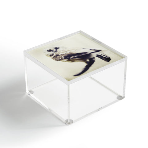 Chelsea Victoria Hoo Acrylic Box