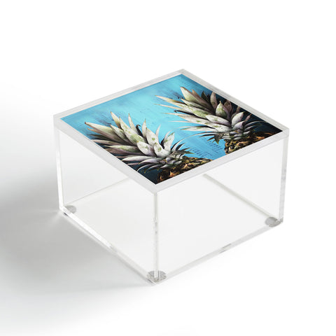 Chelsea Victoria How About Them Pineapples Acrylic Box