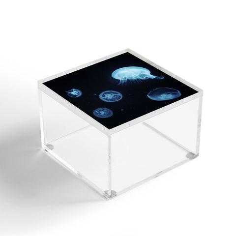 Chelsea Victoria Illuminati Acrylic Box