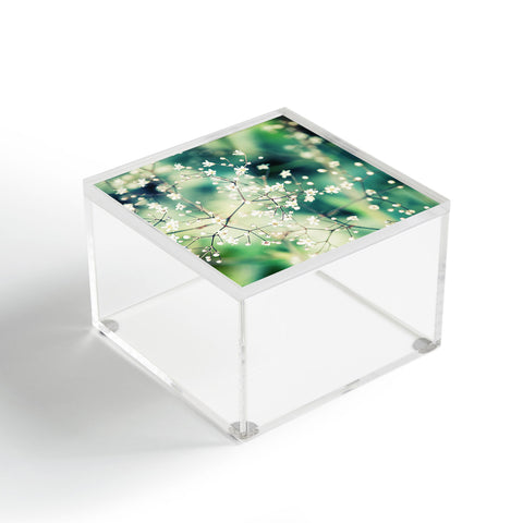 Chelsea Victoria In Wonderland Acrylic Box