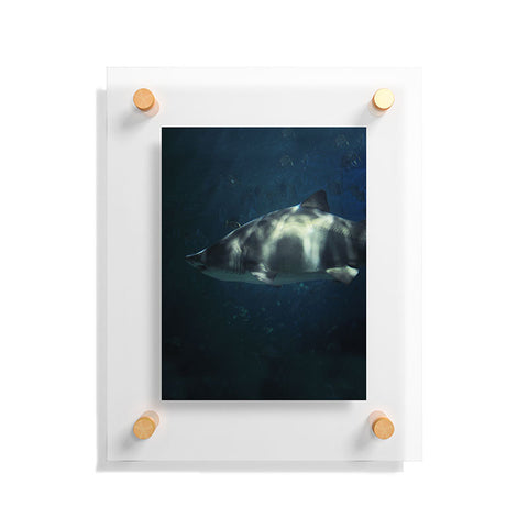 Chelsea Victoria Jaws Floating Acrylic Print
