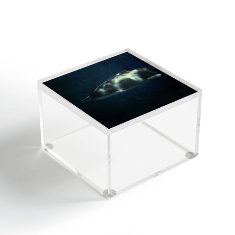 Chelsea Victoria Jaws Acrylic Box