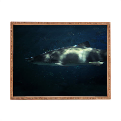 Chelsea Victoria Jaws Rectangular Tray