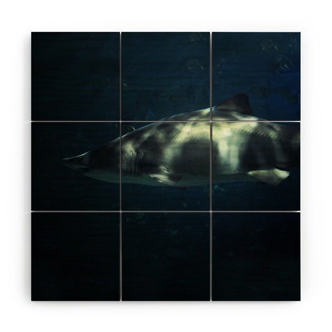 Chelsea Victoria Jaws Wood Wall Mural