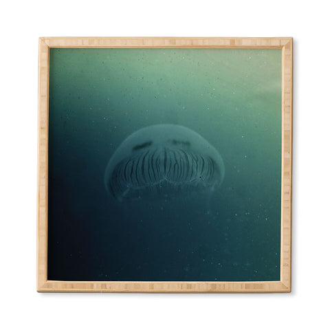 Chelsea Victoria Jelly Star Framed Wall Art