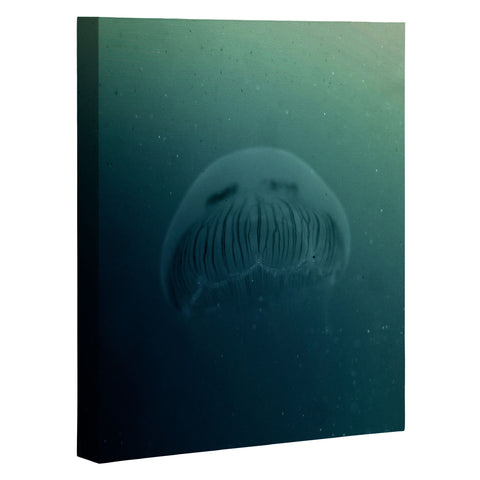 Chelsea Victoria Jelly Star Art Canvas