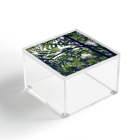 Chelsea Victoria Jungle Love Acrylic Box