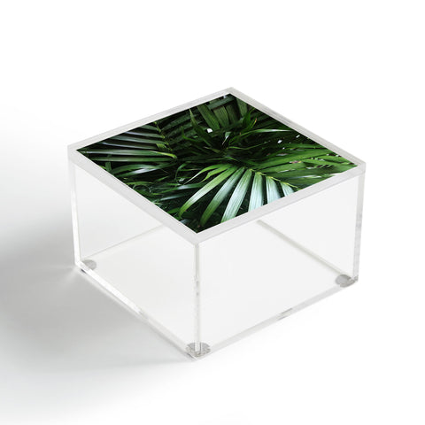 Chelsea Victoria Jungle Vibes Acrylic Box