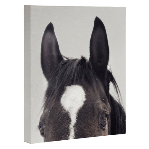 Chelsea Victoria Listen Up Art Canvas