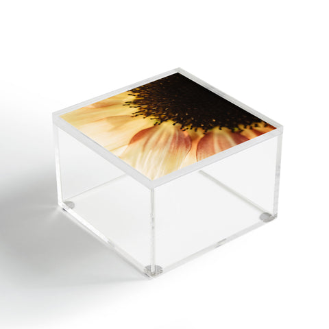 Chelsea Victoria Mellow Sunflower Acrylic Box