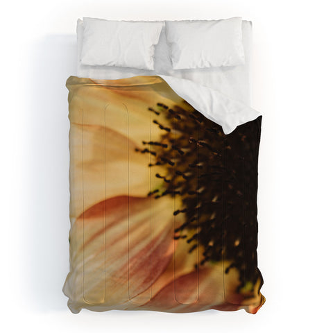 Chelsea Victoria Mellow Sunflower Comforter