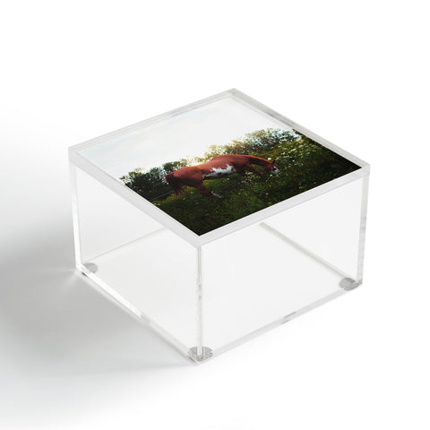 Chelsea Victoria Moon in The Meadow Acrylic Box