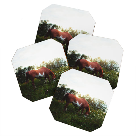 Chelsea Victoria Moon in The Meadow Coaster Set