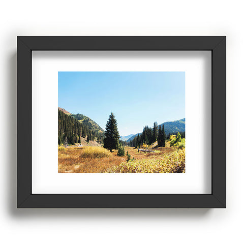 Chelsea Victoria Mountain Tail Recessed Framing Rectangle