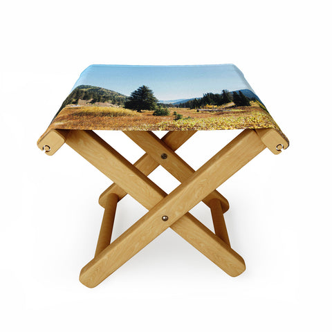 Chelsea Victoria Mountain Tail Folding Stool