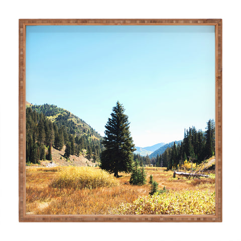 Chelsea Victoria Mountain Tail Square Tray