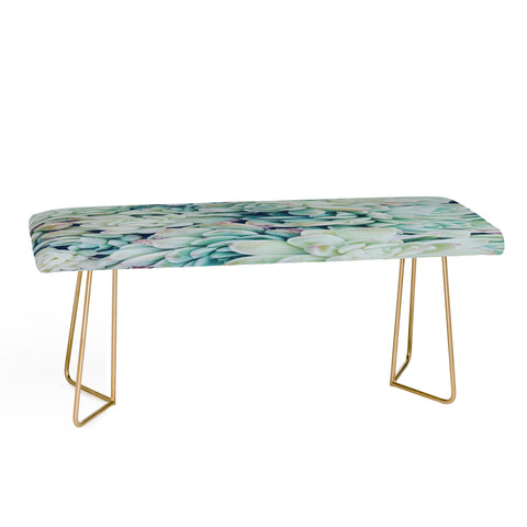 Chelsea Victoria My Desert Blue Bench