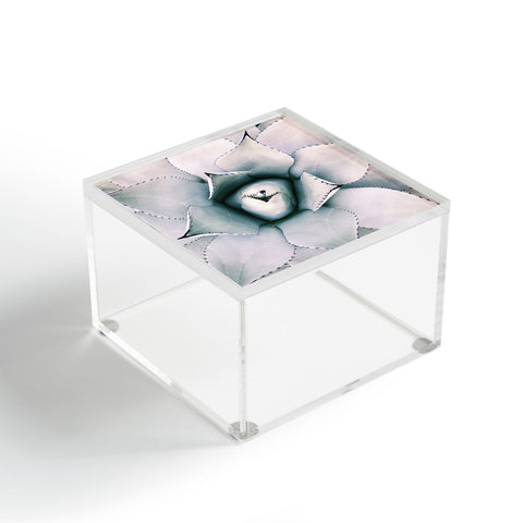Chelsea Victoria My Desert Rose Acrylic Box