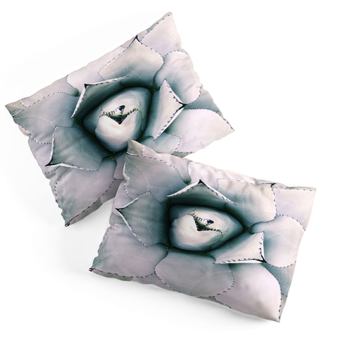Chelsea Victoria My Desert Rose Pillow Shams