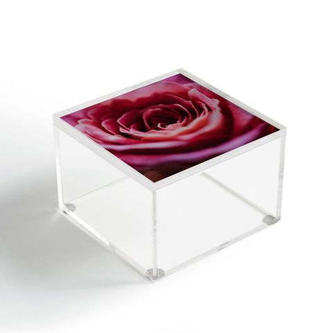 Chelsea Victoria Ombre Rose Acrylic Box