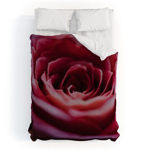 Chelsea Victoria Ombre Rose Comforter