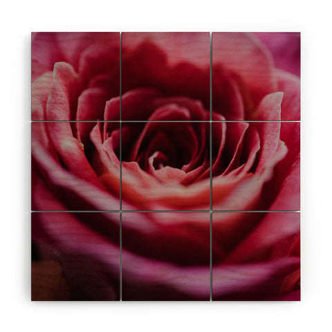 Chelsea Victoria Ombre Rose Wood Wall Mural