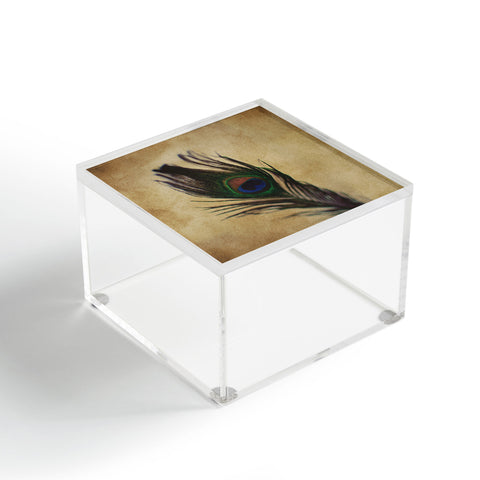 Chelsea Victoria Peacock Feather 2 Acrylic Box