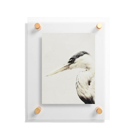 Chelsea Victoria Pecking Order Floating Acrylic Print