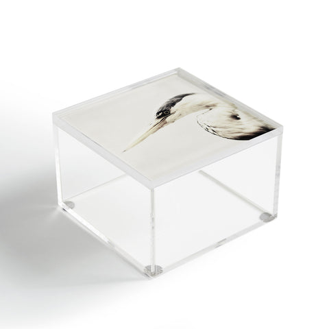 Chelsea Victoria Pecking Order Acrylic Box