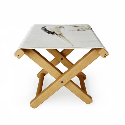 Chelsea Victoria Pecking Order Folding Stool