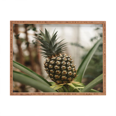 Chelsea Victoria Pick A Pineapple Rectangular Tray