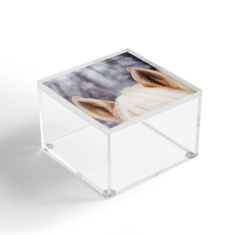 Chelsea Victoria Pony Baby Acrylic Box