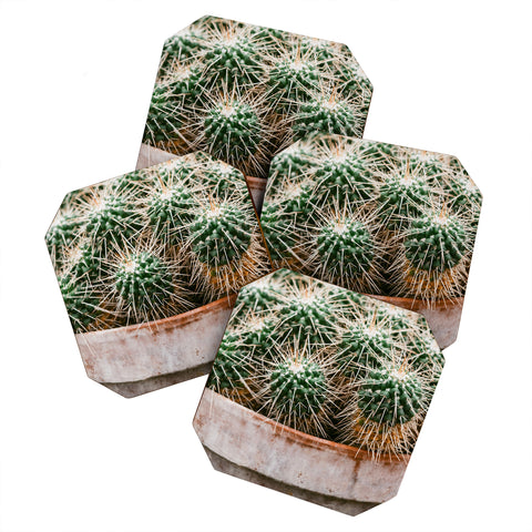 Chelsea Victoria Potted Cactus Coaster Set