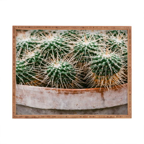 Chelsea Victoria Potted Cactus Rectangular Tray