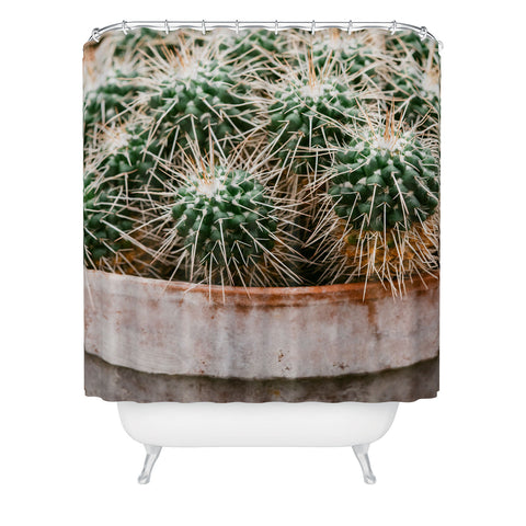 Chelsea Victoria Potted Cactus Shower Curtain