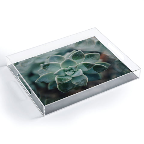 Chelsea Victoria Psychedelic Succulent Acrylic Tray