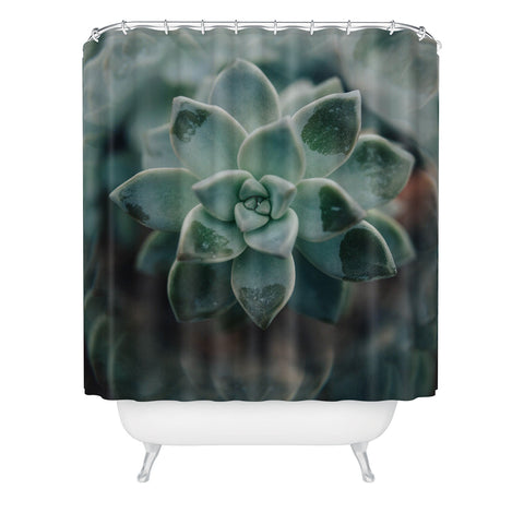 Chelsea Victoria Psychedelic Succulent Shower Curtain