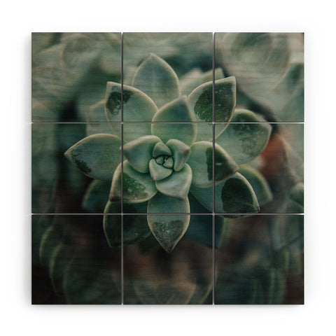 Chelsea Victoria Psychedelic Succulent Wood Wall Mural