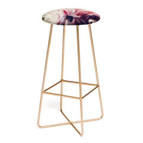 Chelsea Victoria Ranunculus Pop Bar Stool