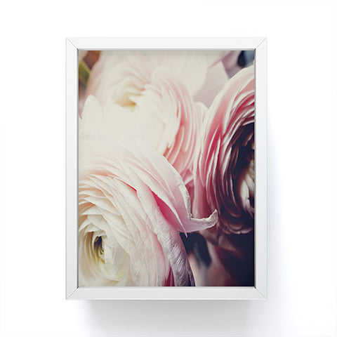 Chelsea Victoria Ranunculus Pop Framed Mini Art Print