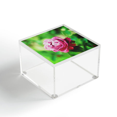 Chelsea Victoria Rose Garden Acrylic Box
