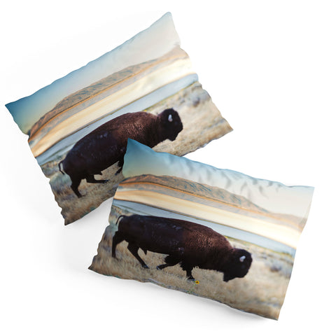 Chelsea Victoria Seldom Is Heard Pillow Shams