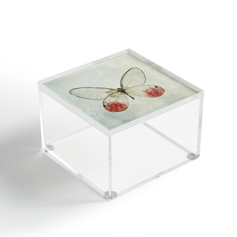 Chelsea Victoria Shades Of Butterfly Acrylic Box